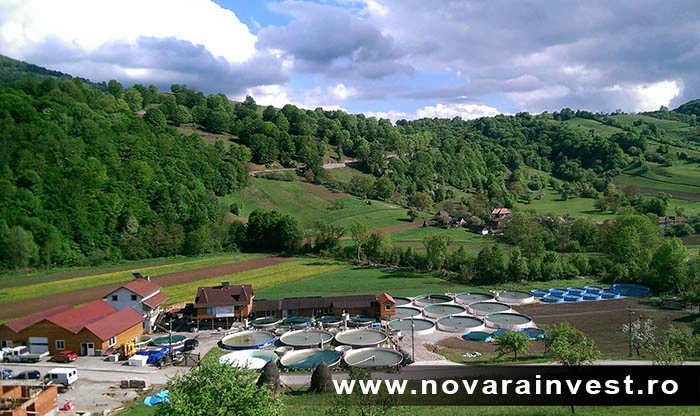 Ferma piscicola, pastravaria Novara Invest